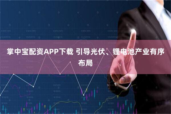 掌中宝配资APP下载 引导光伏、锂电池产业有序布局